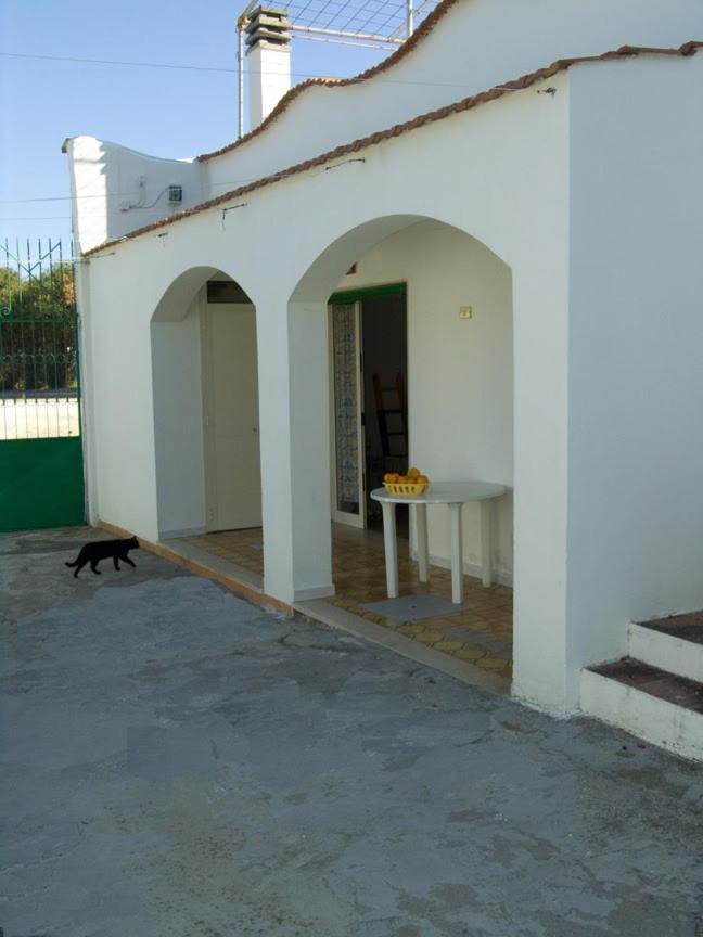 Penta Garden Apartment Peschici Luaran gambar